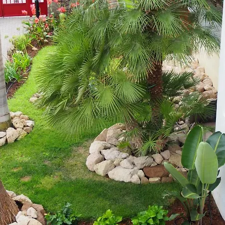 Maravilloso Y Tranquilo En El Appartement Palm-mar